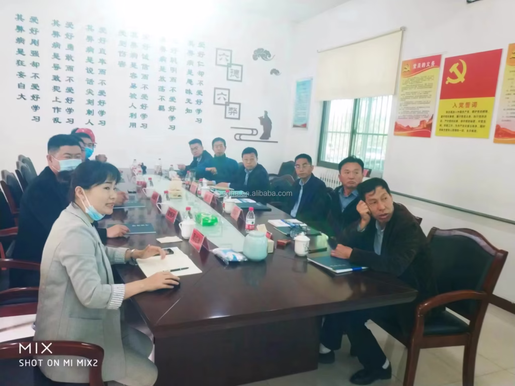 Explain the development history of the company